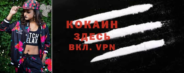 дживик Абинск