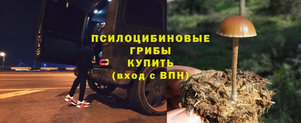 дживик Абинск