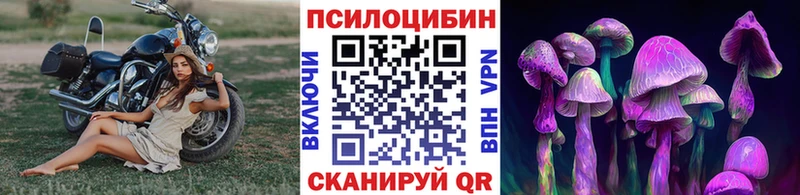 площадка Telegram  наркота  Дубовка  Псилоцибиновые грибы ЛСД 
