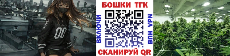 Каннабис THC 21%  даркнет Telegram  Дубовка 